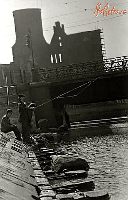Калининград - Рыбаки у Дровяного моста на фоне развалин Кафедрального собора.