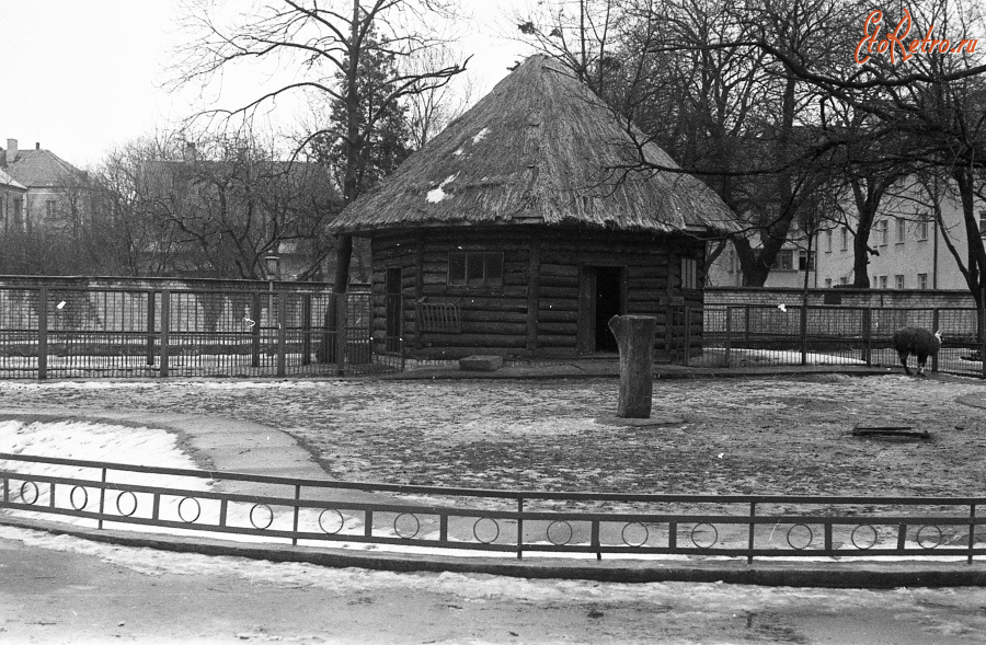 Калининград - Калининград. В зоопарке.