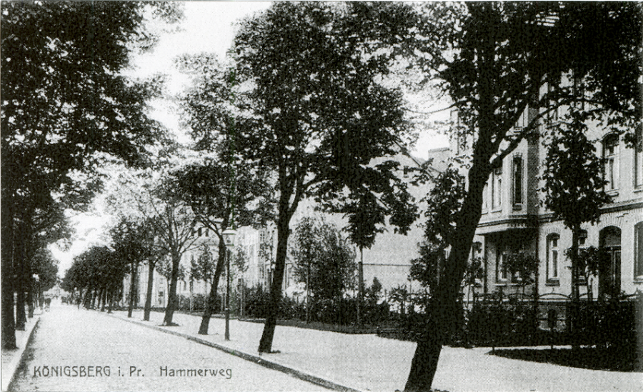 Калининград - Koenigsberg. Hammerweg.