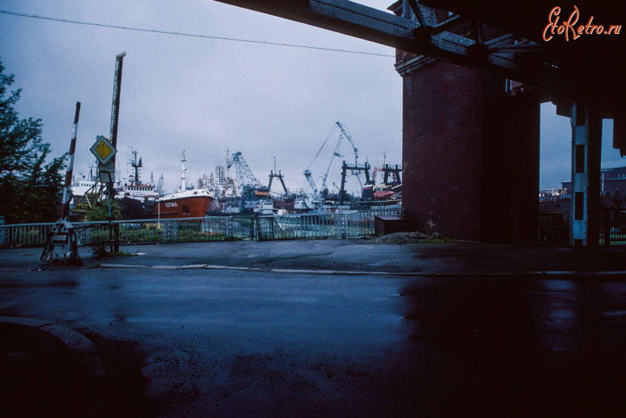 Калининград - Калининград - Kalingrad . Author - Bartschi , Hans-Peter . (1994)