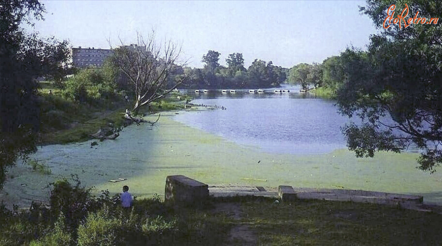 Калининград - Нижний пруд.