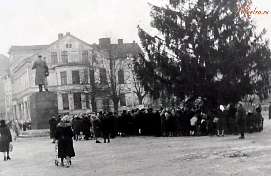 Советск - Площадь Ленина. Новогодняя ёлка.