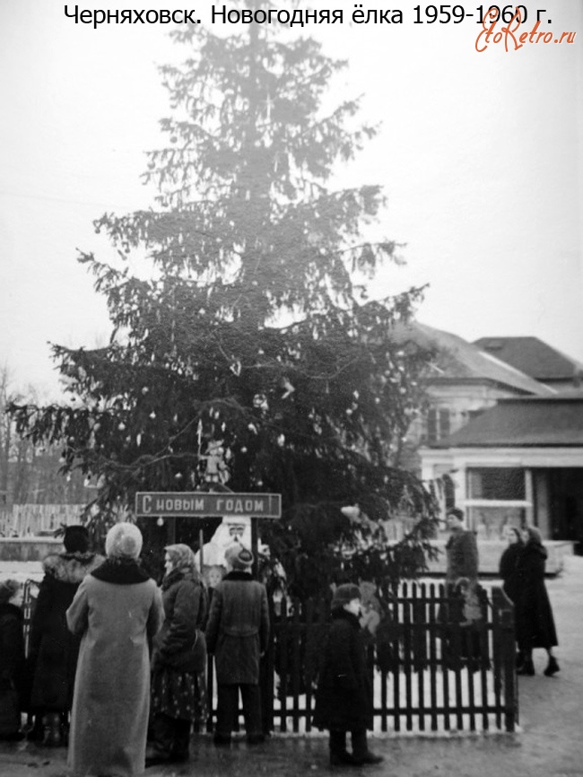 Черняховск - Черняховск. Новогодняя ёлка 1959-1960 г. в г