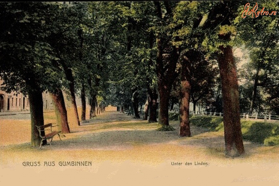 Гусев - Gumbinnen. Unter den Linden.