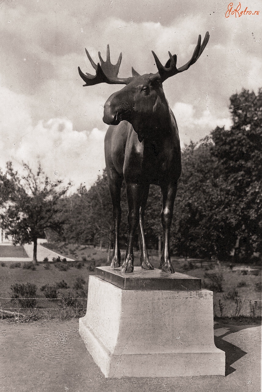 Гусев - Gumbinnen. Elch.