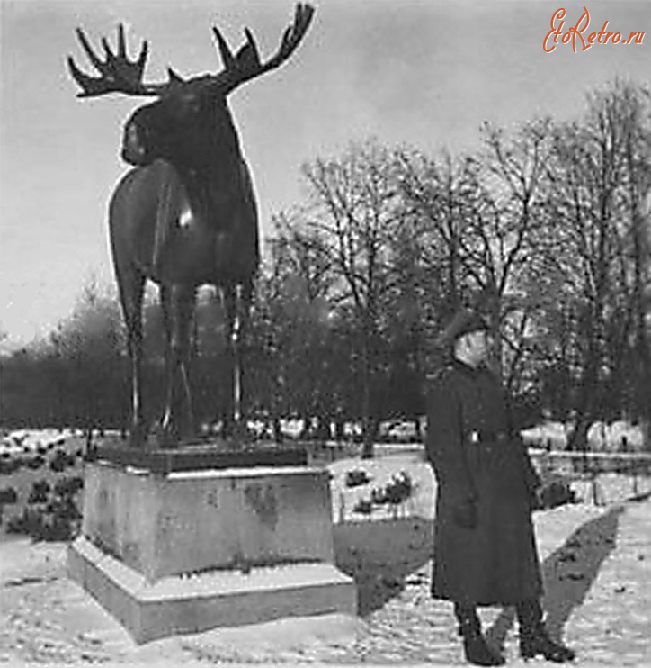 Гусев - Gumbinnen. Elch.