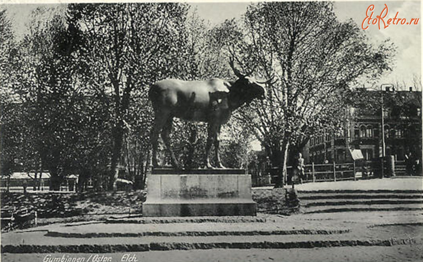 Гусев - Gumbinnen. Elch.