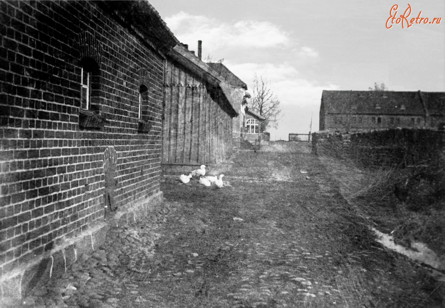 Гусев - Kampischkehmen, im Domaenenhof.