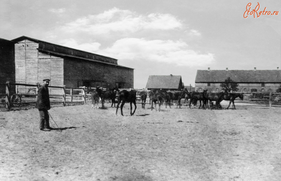 Гусев - Kampischkehmen, Domaene, Wirtschaftshof.