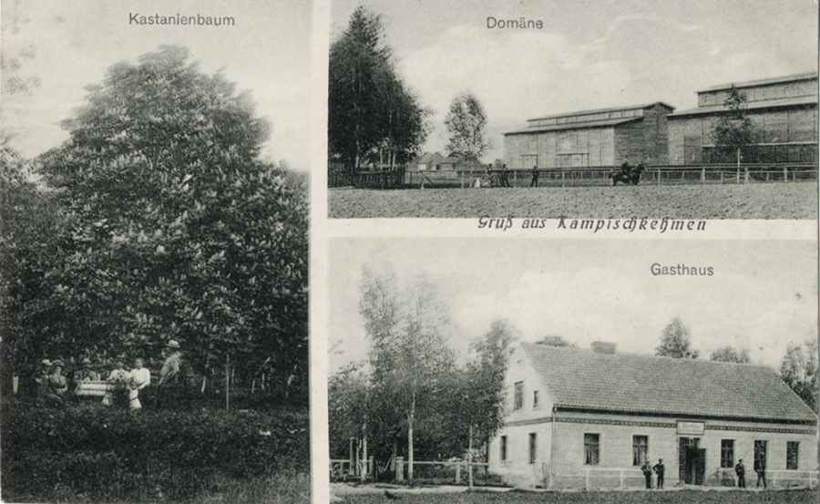 Гусев - Kampischkehmen, Kastanienbaum, Domaene, Gasthaus.