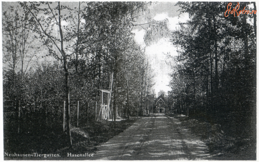 Гурьевск - Neuhausen-Tiergarten, Hasenallee.