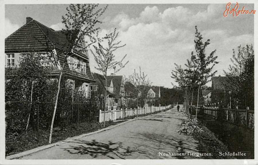 Гурьевск - Neuhausen-Tiergarten, Schlossallee.