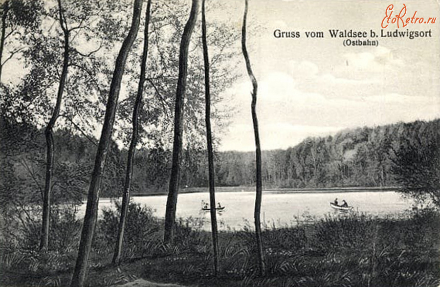 Ладушкин - Ludwigsort. Waldsee.