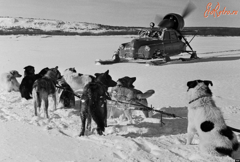 Камчатская область - Собачья упряжка встречает аэросани 