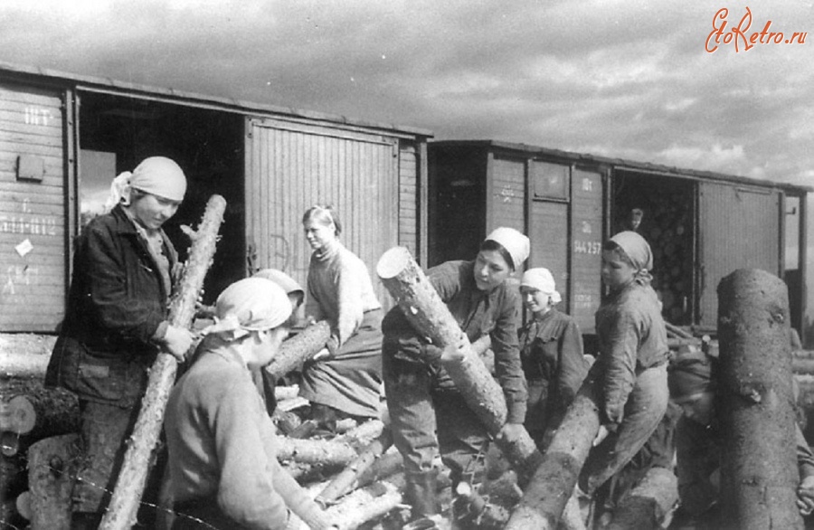 Ленинградская область - Стахановская бригада Морозовой за погрузкой дров в вагоны