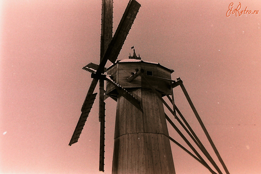 Истра - В Гефсиманском парке Ново-Иерусалимского монастыря. 1985 г.