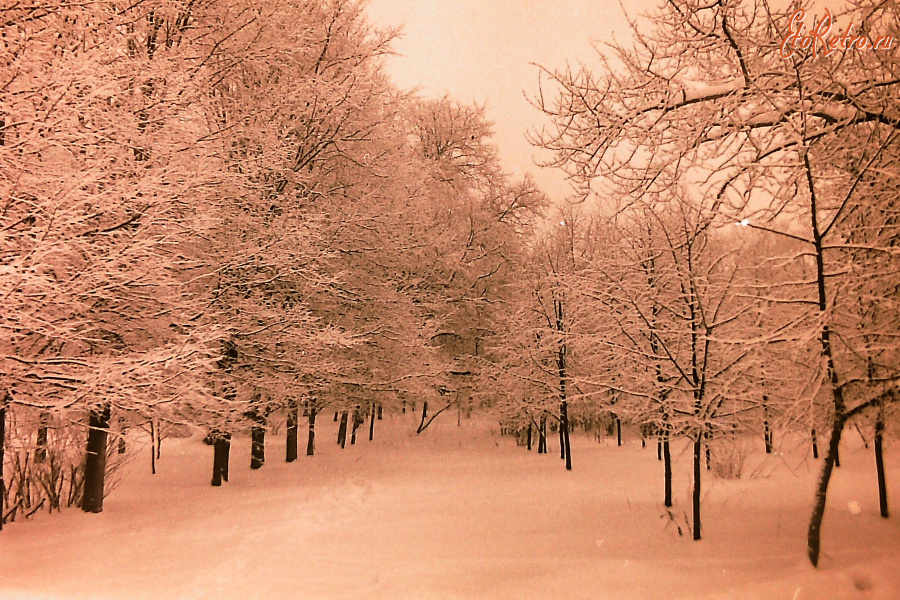 Истра - Зима. Городской парк.  1985 г.