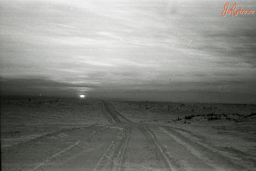 Красноярский край - Тухард (Факел). Зимняя тундра.