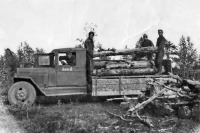 Мурманская область - Заготовка дров