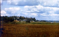 Новгородская область - Вид на деревню Пирусс.