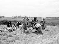 Псковская область - Беженцы в районе Пскова. Июль 1941 г.