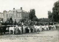 Спасск-Рязанский - Село Ижевское. Ижевский племрассадник. Выводка конкурсного молодняка II группы.