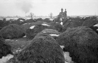 Спасск-Рязанский - Село Ижевское. Копны сена в поле за церковью Успения Пресвятой Богородицы.