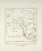 Разное - Карта распределения фазанов группы огнеспинок хохлатых