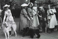Разное - Модели с собаками на шоу Красавица и Чудовище