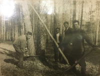 Разное - На лесоповале.