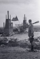 Россия - Памятник на могиле гвардейцев артиллеристов, павших в боях