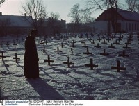 Полтава - Немецкое кладбище