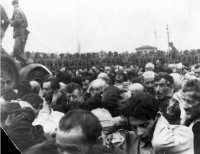 Житомир - Арестованные мужчины евреи.