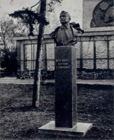 Житомир - Памятник-бюст В. С. Косенко