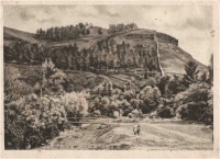 Кисловодск - Нижний парк, Сосновая гора. 1920-е годы