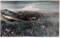 Кисловодск - Гора Эльбрус, в цвете