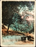 Кисловодск - Водопад в парке, в цвете