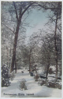 Кисловодск - Парк зимой