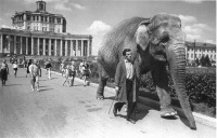 Москва - «По улицам слона водили...»