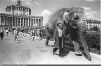 Москва - «По улицам слона водили...» 1945—1950, Россия, Москва,