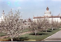 Москва - ВСХВ, Весна 1954-го. Цветущие яблони
