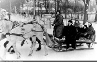 Москва - Измайловский парк. Катание на лошадях.