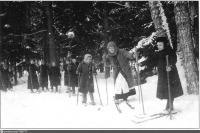 Москва - Воспитанники лесной школы в Сокольниках на лыжной прогулке