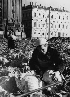 Санкт-Петербург - Выращивание овощей на площади у Исаакиевского собора во время блокады. 1942 г.