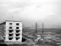  - Ленинград, пр.Космонавтов, 1964 год