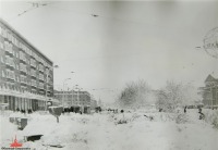 Екатеринбург - Майский снегопад в Свердловске