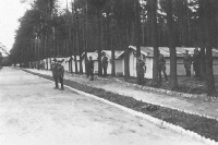 Польша - Альтдамский лагерь. Май — июль 1945 г.