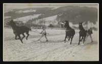 Польша - Закопане.  Гуральські змагання на лижах з кіньми.