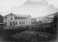 Польша - Щавниця.  Вілли на Мензюсі.