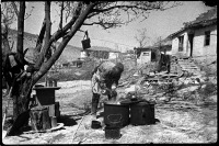 Автономная Республика Крым - Крым. Бахчисарай, апрель 1944 года